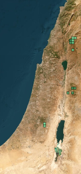 Figure 3. Map of the natural area of distribution of Buglossoides incrassata in the southern Levant – green squares mark locations of the species observation. Image from Danin, A. & O. Fragman-Sapir. 2016+, Flora of Israel and adjacent areas. https://flora.org.il/en/plants/buginc/